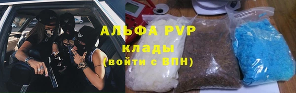 стаф Горняк