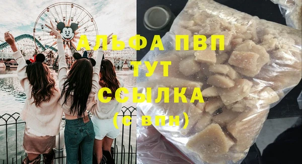 стаф Горняк