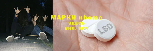 стаф Горняк