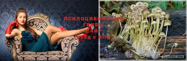 мяу мяу кристалл Горно-Алтайск