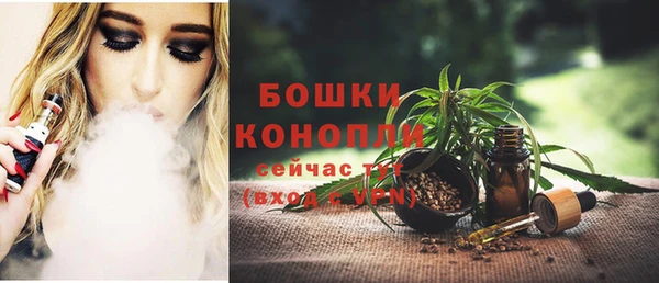 стаф Горняк