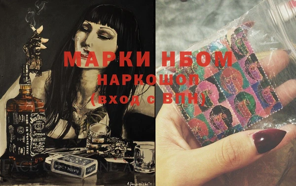 стаф Горняк
