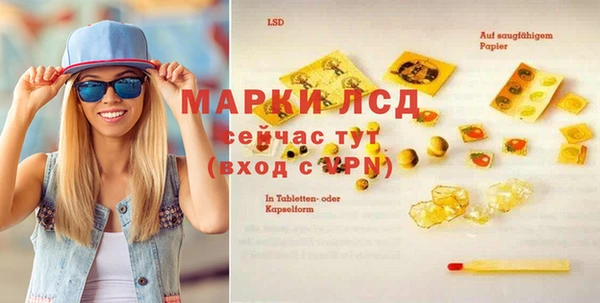 стаф Горняк