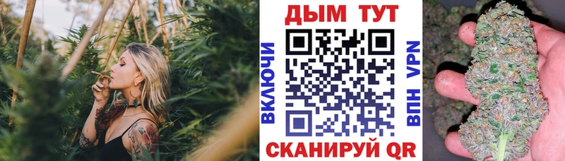 Купить где  Ипатово  Канабис семена 